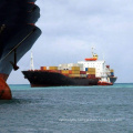 Shenzhen Freight Forwarding Agent Sea Freight Shipping Dropshipping Poland